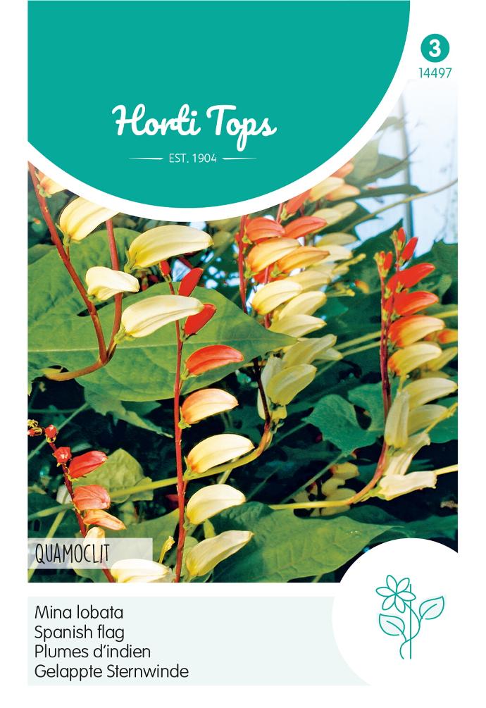 Mina lobata AQUAMOCLIT - ca 1,5 g