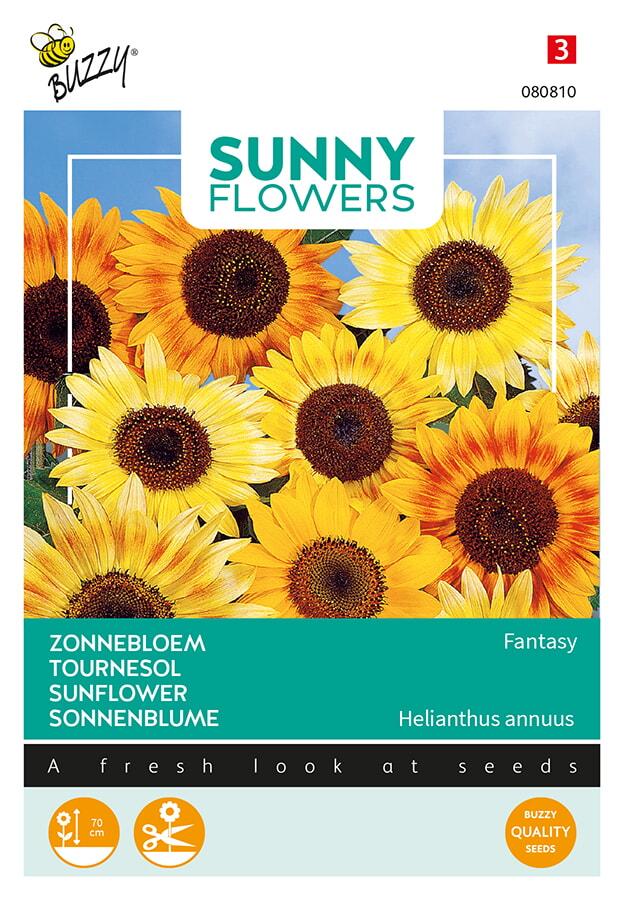 Helianthus annuus MUSICBOX mix - ca 1 g