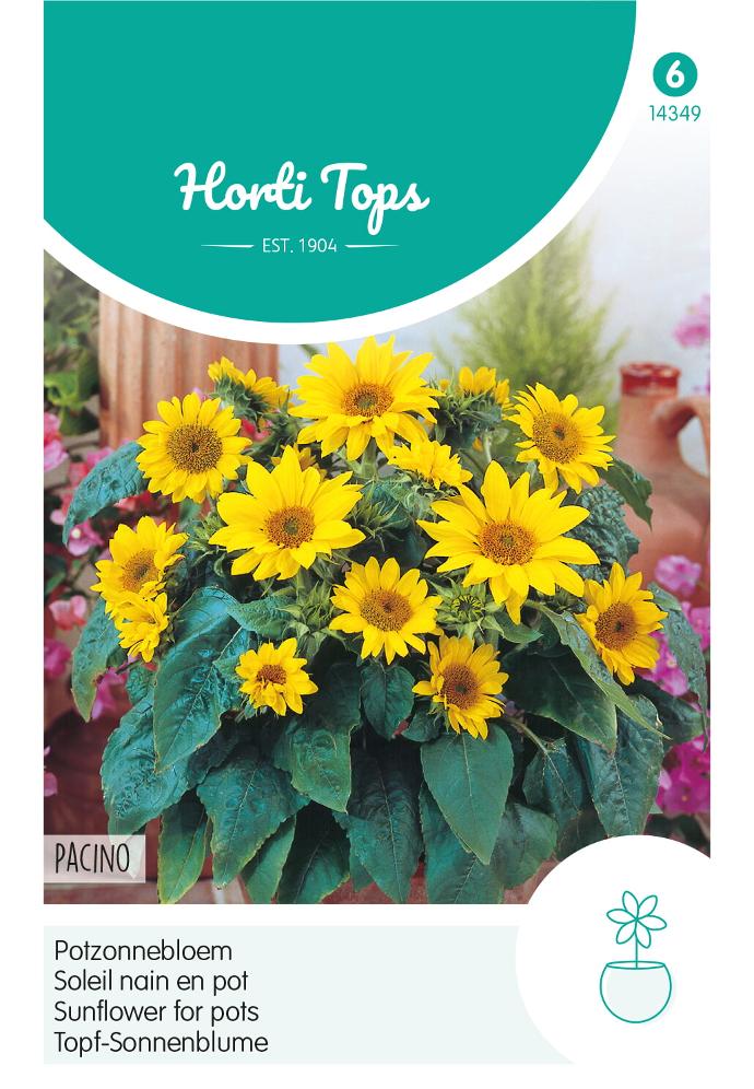 Helianthus, Potzonnebloem PACINO - ca 0,75 g