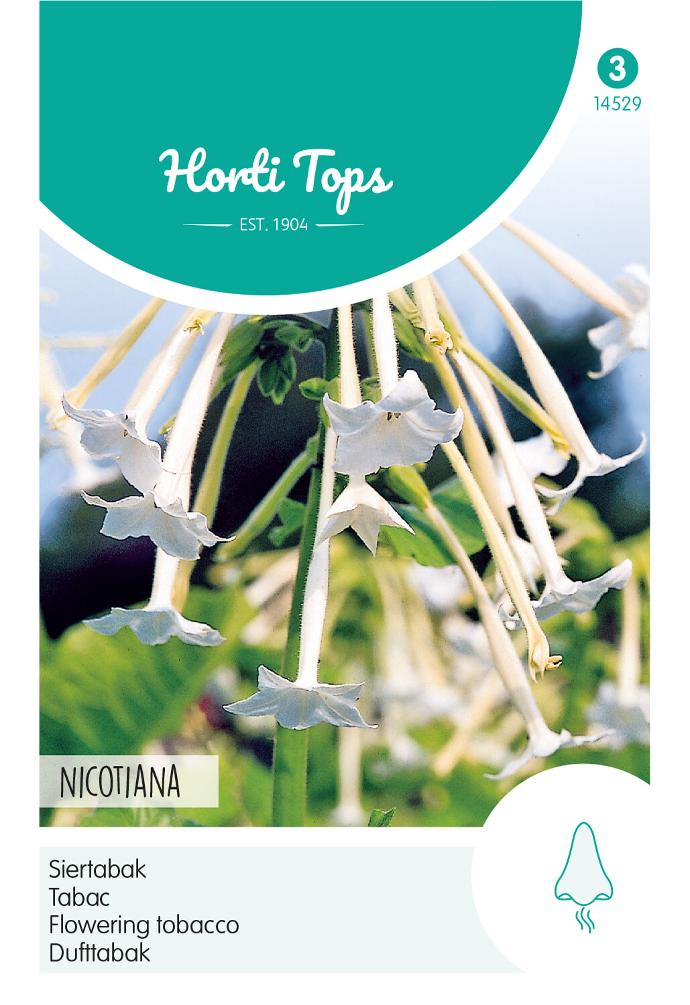 Nicotiana of siertabak SYLVESTRIS - ca 0,15 g