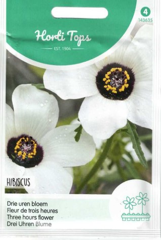 Hibiscus trionum ou FLEUR D'UNE HEURE - ca 0,75 g