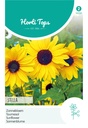 Helianthus of Zonnebloem STELLA - ca 1 g