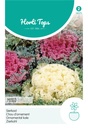 Chou d'ornement varie BRASSICA OLERACEA - ca 0,25 g