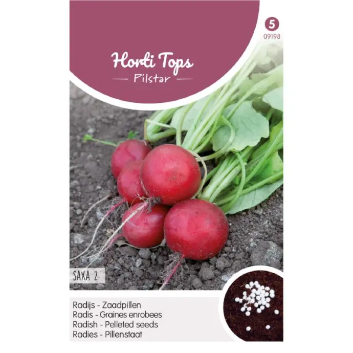 Radis SAXA 2 graines enrobée - ca 7 g