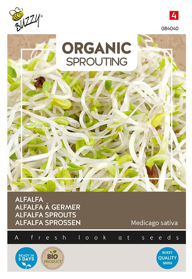 Bio - Germes de LUZERNE - ca 30 g