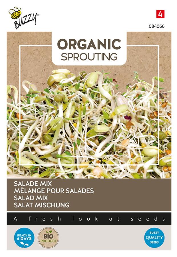 Bio - Germes de MÉLANGE DE SALADE - ca 30 g