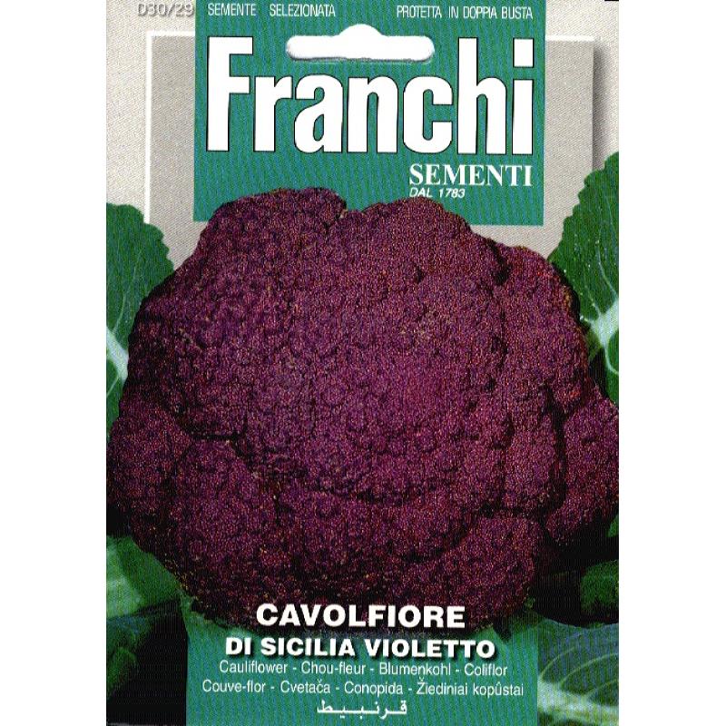Gekleurde bloemkool DI SICILIA VIOLETTO o CATANESE- ca 3 g