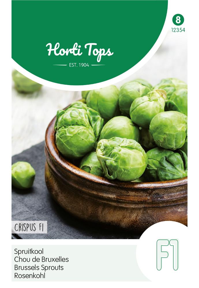 Chou de bruxelles CRISPUS F1 - ca 30 s