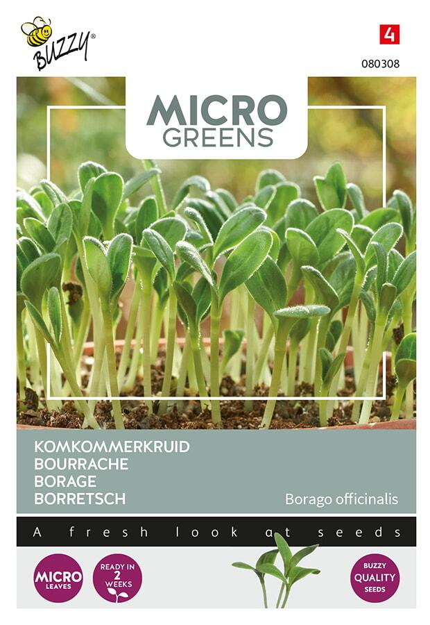 Microgreens BOURACHE - ca 8 g