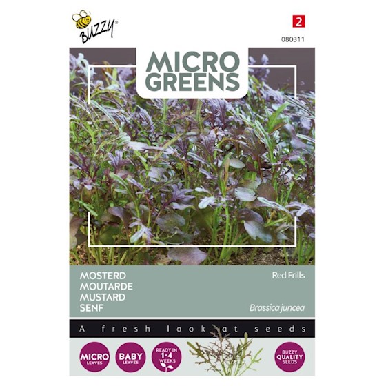 Microgreens MOSTERD RED FRILLS - ca 1 g