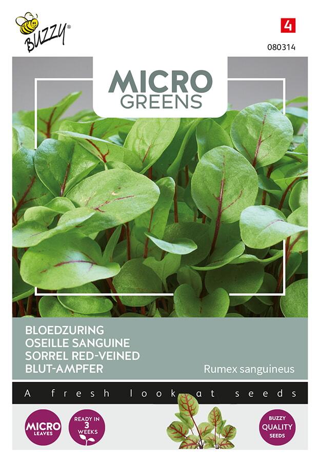 Microgreens RUMEX SANGUINEUS - ca 0,5 g