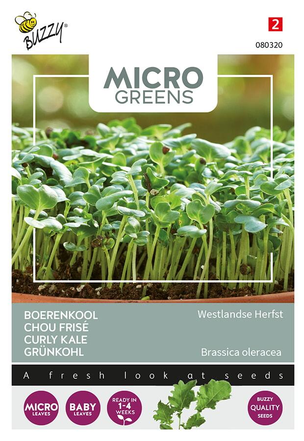 Microgreens BOERENKOOL - ca 1 g