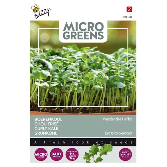 Microgreens CHOU FRISE - ca 1 g