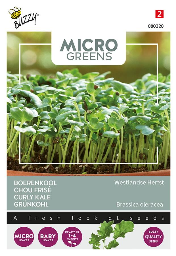 Microgreens CHOU FRISE - ca 1 g