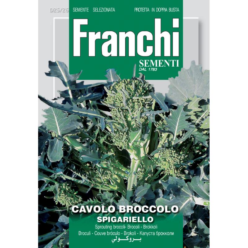Brocoli SPROUTING - ca 4 g