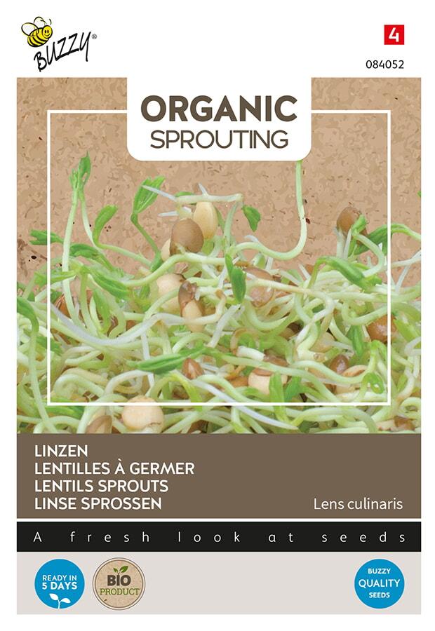 Bio - Germes de LENTILLES - ca 30 g