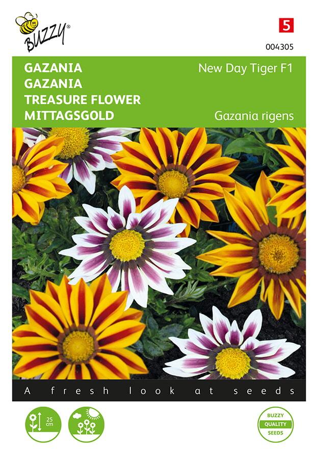 Gazania NEW TIGER F1 mix - ca 15 z