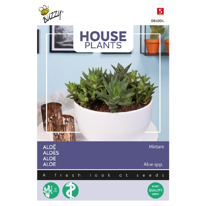 House Plants Aloès Mélange - ca 5s