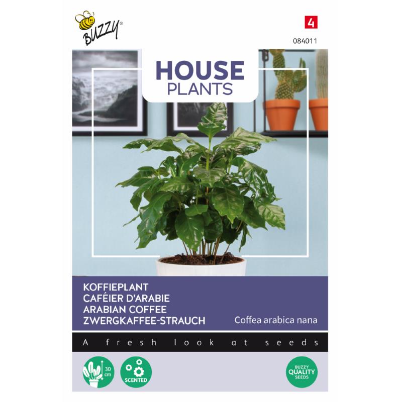###KOFFIEPLANT - ca 15 z