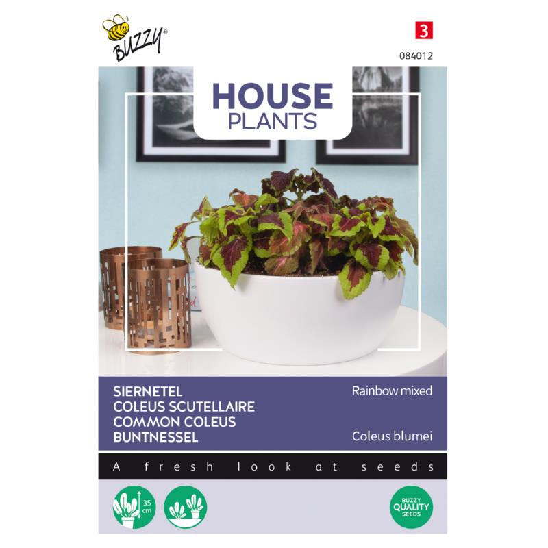 COLEUS SCUTELLAIRE RAINBOW MIXED - ca 0,25 g