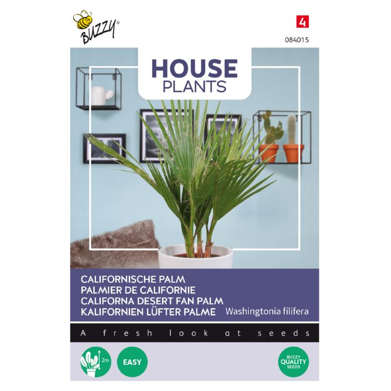 CALIFORNISCHE PALM - ca 1 g