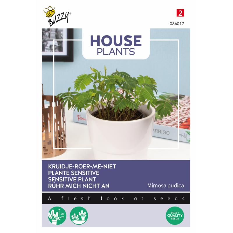 PLANTE SENSITIVE - ca 0,2 g