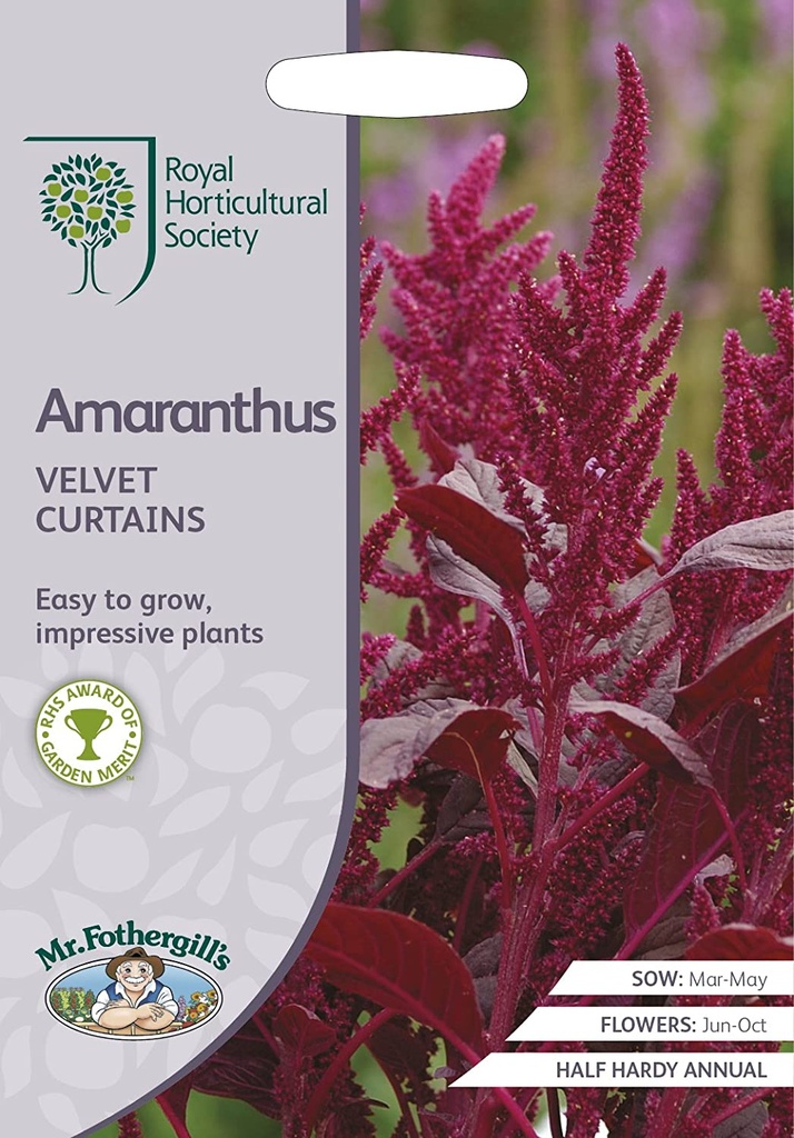 ###Amaranthus Velvet Curtains - ca. 1500 zaden