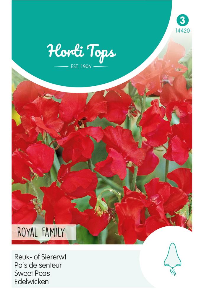 Lathyrus ROYAL FAMILY ROOD - ca 4 g