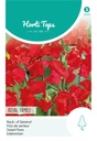 Lathyrus ROYAL FAMILY ROOD - ca 4 g
