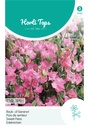 ###Lathyrus Royal Family rose - ca 4g