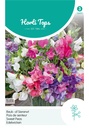 Lathyrus ROYAL FAMILY BIJOU mix - ca 5 g