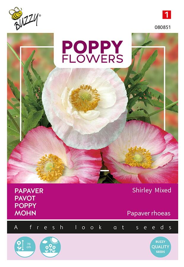 Papaver SHIRLEY mix - ca 1 g