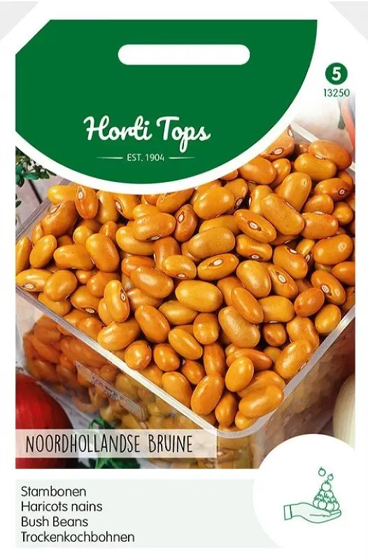 Haricots à écosser BRUN DE HOLLANDE DU NORD - ca 100 g
