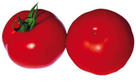 Tomates charnues PITAGORA F1 - ca 20 s