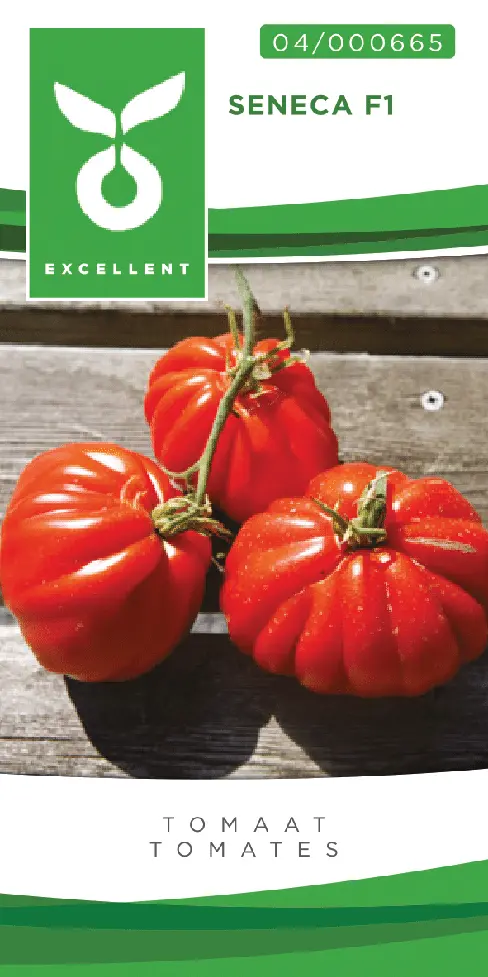 Coeur de boeuf SENECA F1 - ca 20 s