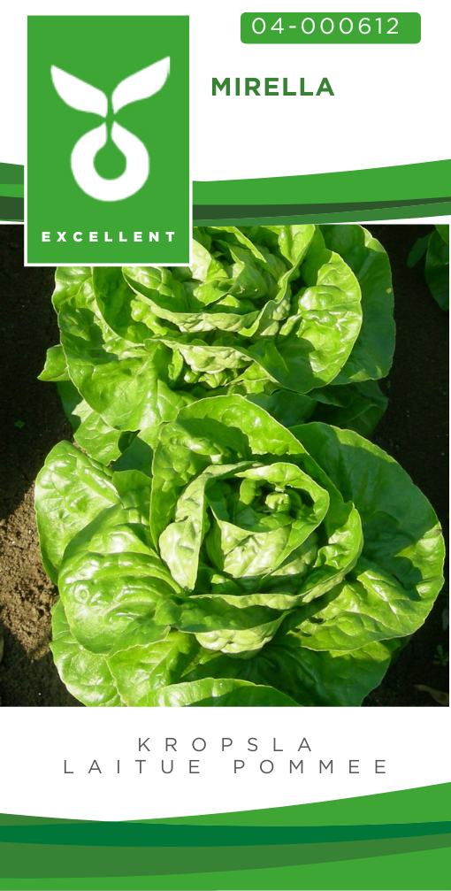 Laitue pommée MIRELLA - ca 2 g