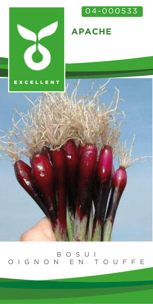 Bosui APACHE - ca 1000 z