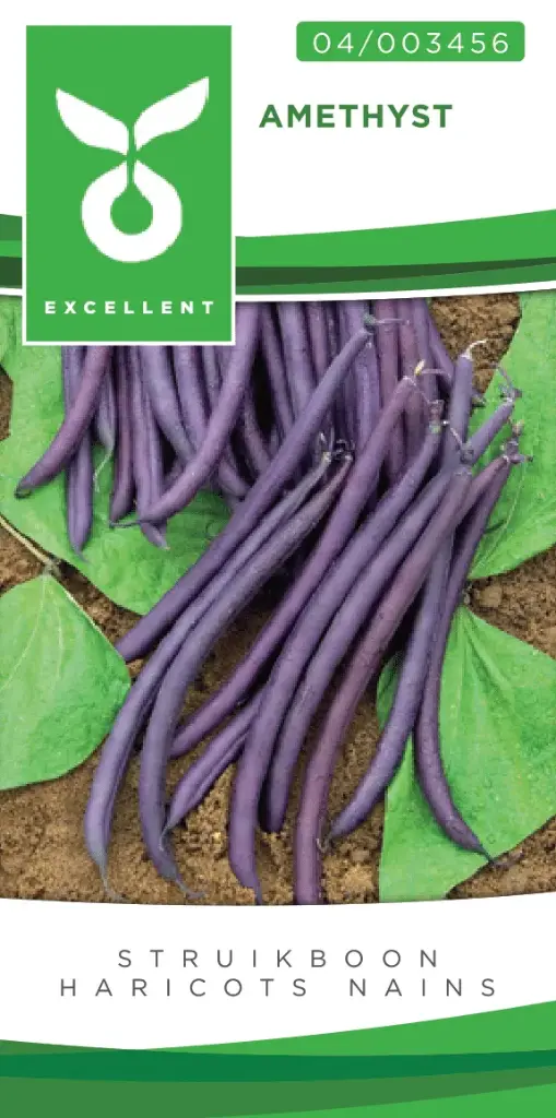 Gekleurde stam- of struikbonen AMETHYST - ca 75g