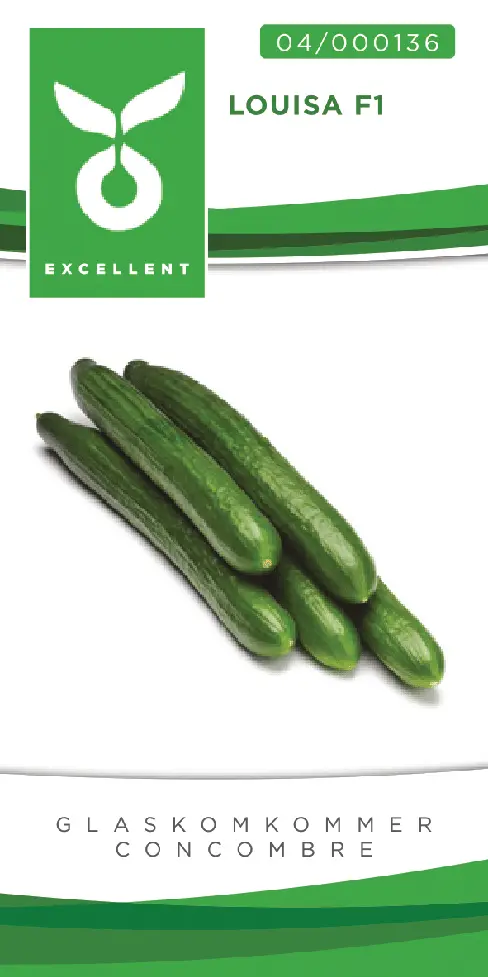 Concombre culture sous verre LOUISA F1 - ca 6 s