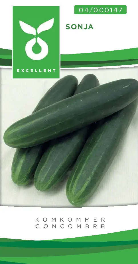 Concombre culture extérieure SONJA F1 - ca 2 g