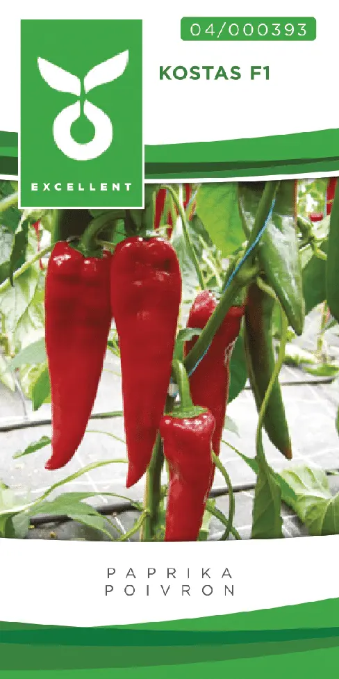Puntpaprika KOSTAS F1 - ca 20 z