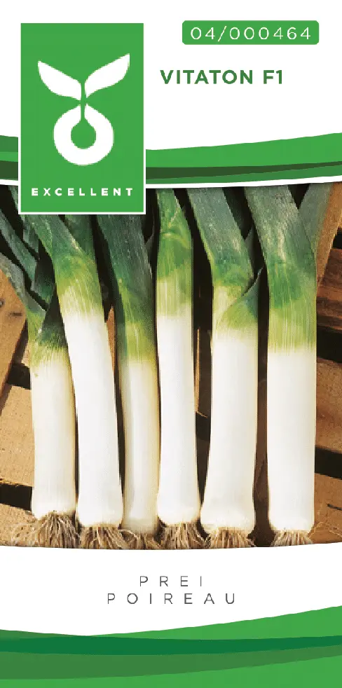 Poireau CURLING F1 (VITATION) - ca 200 s