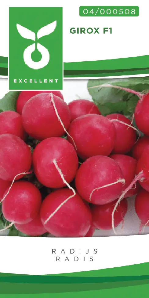 Radis GIROX F1 - ca 500 s