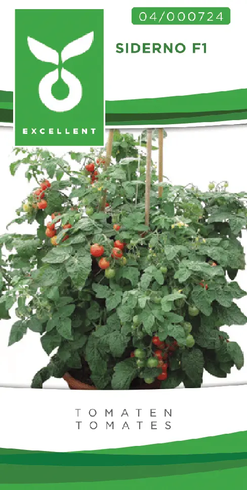 Tomates balcon BABY BOOMER F1 (SIDERNO F1) - ca 10 s