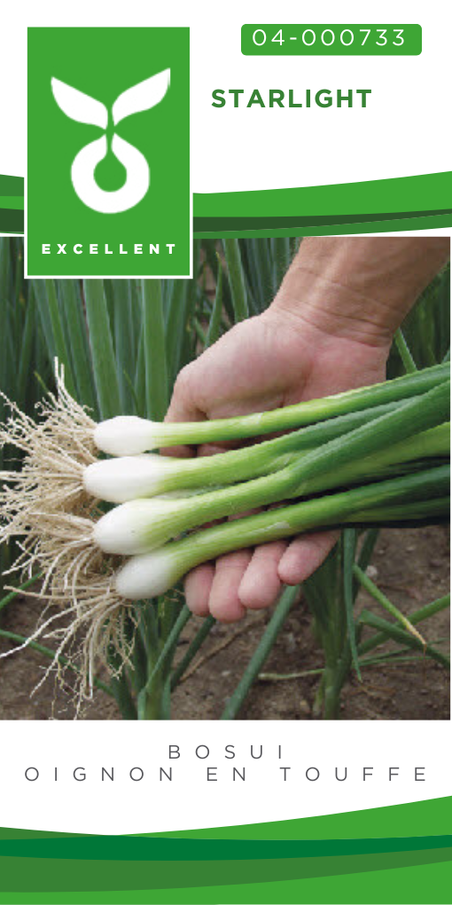 Oignon en trouffe STARLIGHT (Matrix) - ca. 1000 s