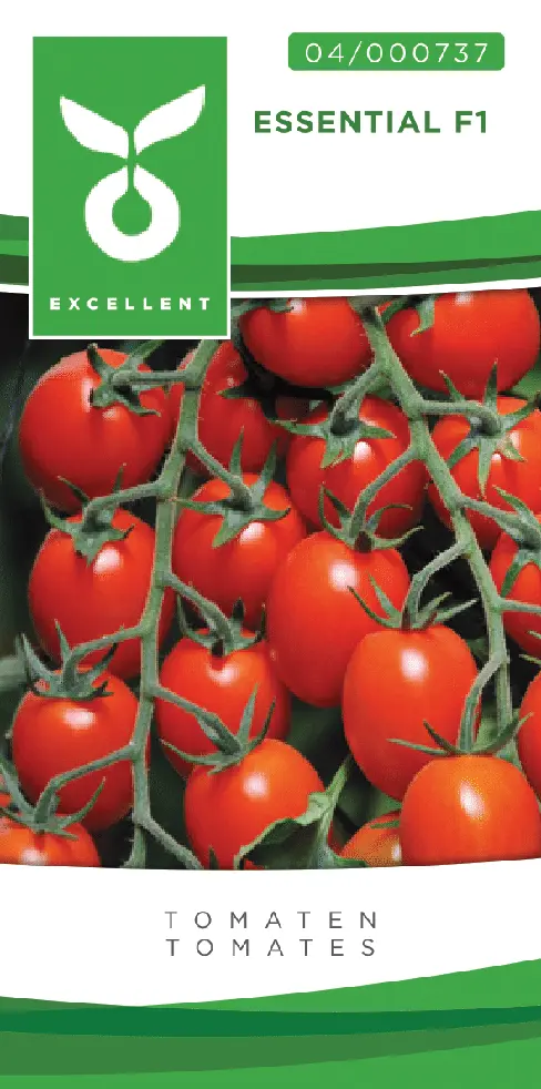 Aperitieftomaten ROSSETTO F1 (ESSENTIAL F1) - ca 10 z