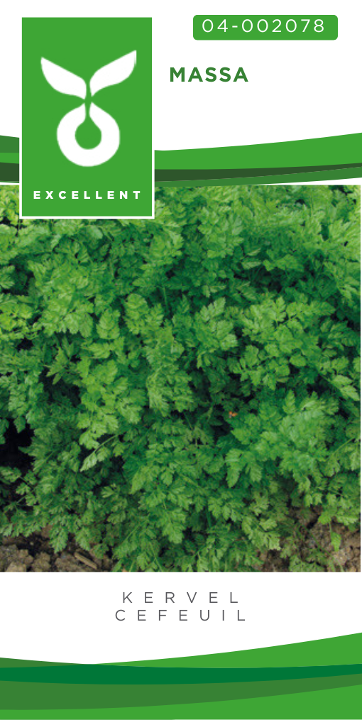 Cerfeuil MASSA - ca 10 g