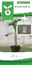 Tomaten onderstam PROTECTOR F1 - ca 25 z + 25 entclips