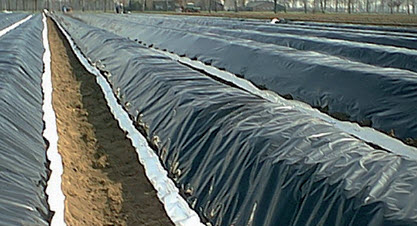 ASPERFECT T-film a sachets - prix par mètre courant