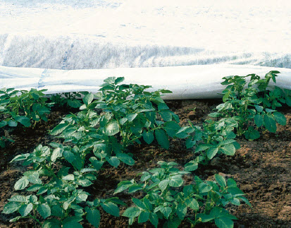 Toile de protection largeur 6,4 m - prix par mètre courant